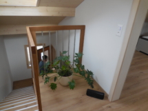M&amp;T Treppen